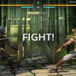 shadow fight 3